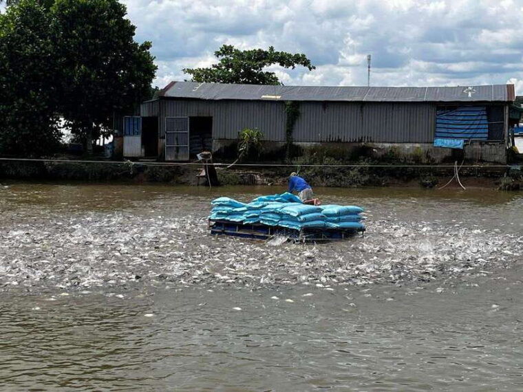 mekong-delta-4-day-tour-ho-chi-minh-chau-doc-can-tho-ca-mau