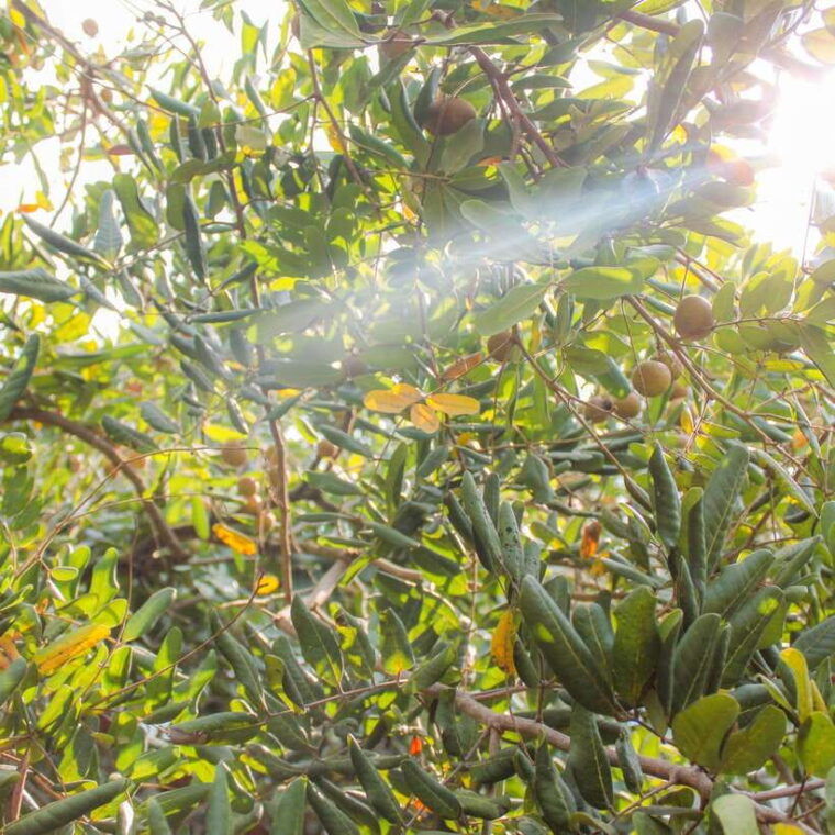 mekong-delta-experience-small-group-adventure