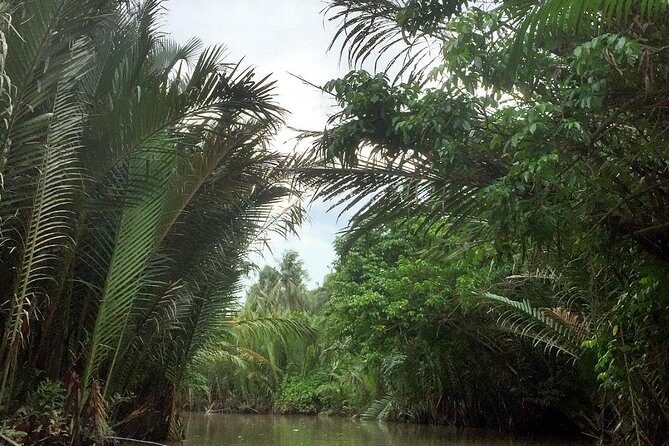 Mekong Delta in Ben Tre private tour full day - What to Expect from the Mekong Delta in Ben Tre Private Tour