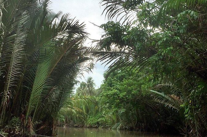Mekong Delta in Ben Tre private tour full day - Who Will Love This Tour?