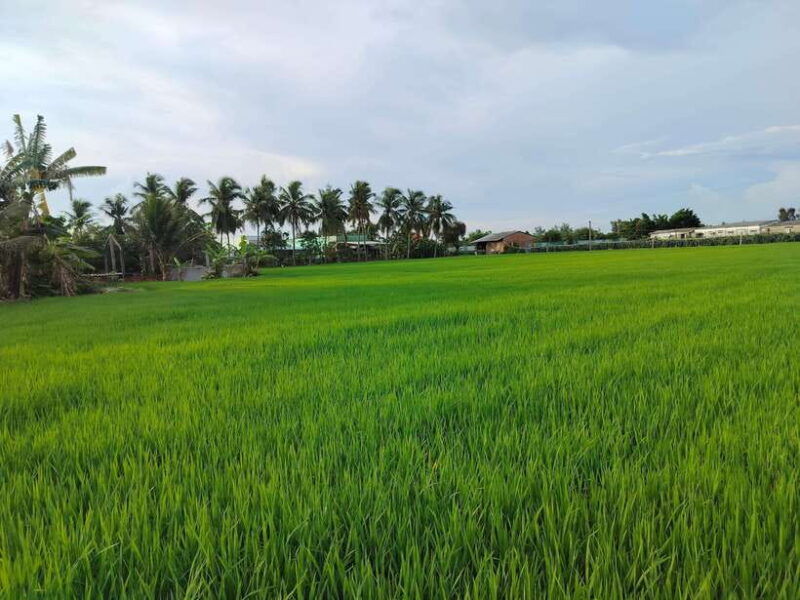 mekong-delta-luxury-1day-bike-cooking-classes-small-group