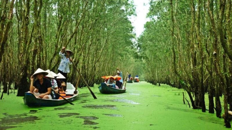 MeKong Delta Tour 1 Day - Exploring Thoi Son Island: Village Life and Honey