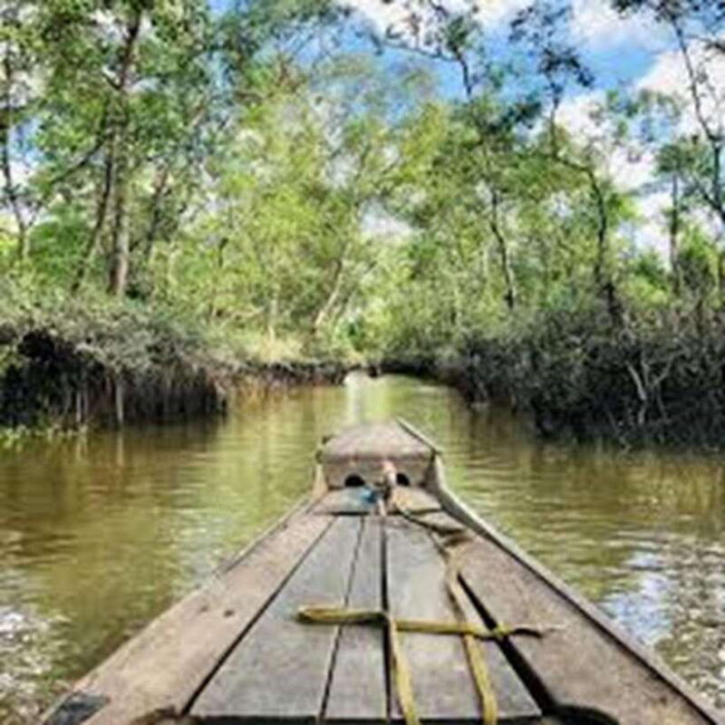 mekong-delta-tour-to-cai-be-tan-phong-island-full-day