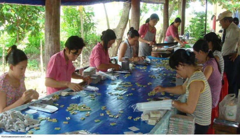 mekong-delta-tour-to-cai-be-tan-phong-island-full-day