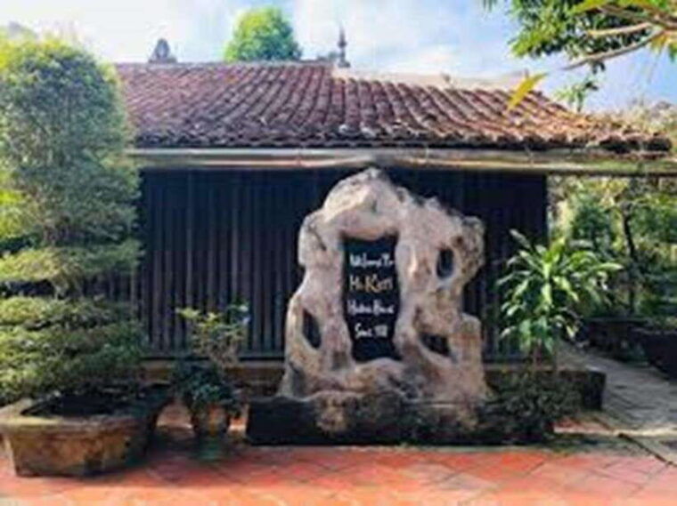 mekong-delta-tour-to-cai-be-tan-phong-island-full-day