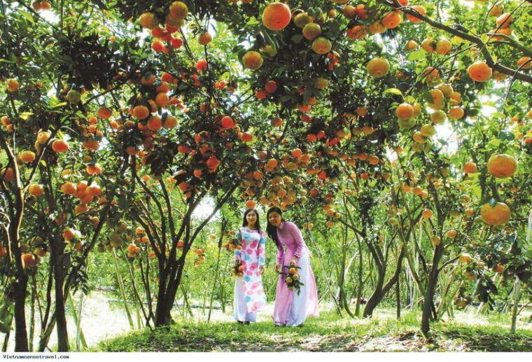 mekong-delta-tour-to-cai-be-tan-phong-island-full-day