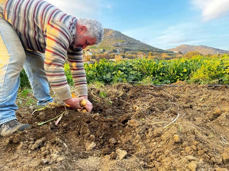 Melanes Tour: Village Highlights & Garden-to-Table Meal - A Full Breakdown of the Melanes Tour Experience