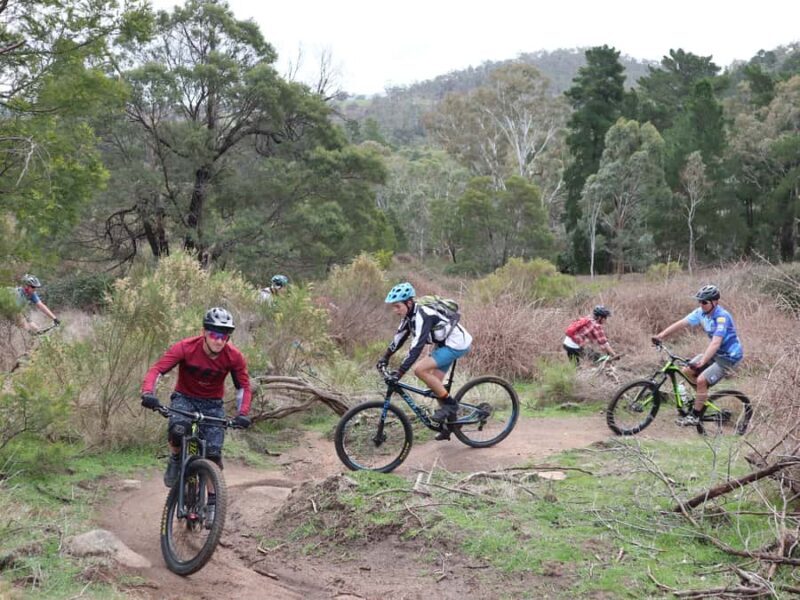Melbourne: 1-Day Mountain Biking Adventure with Lunch - The Sum Up
