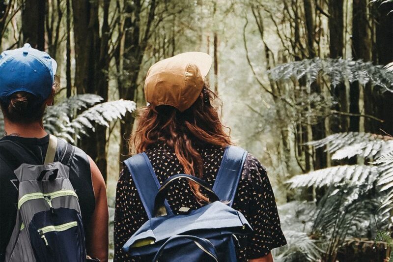 Melbourne: 12 Apostles, Otways & Great Ocean Road Day Tour - The Experience of the Tour
