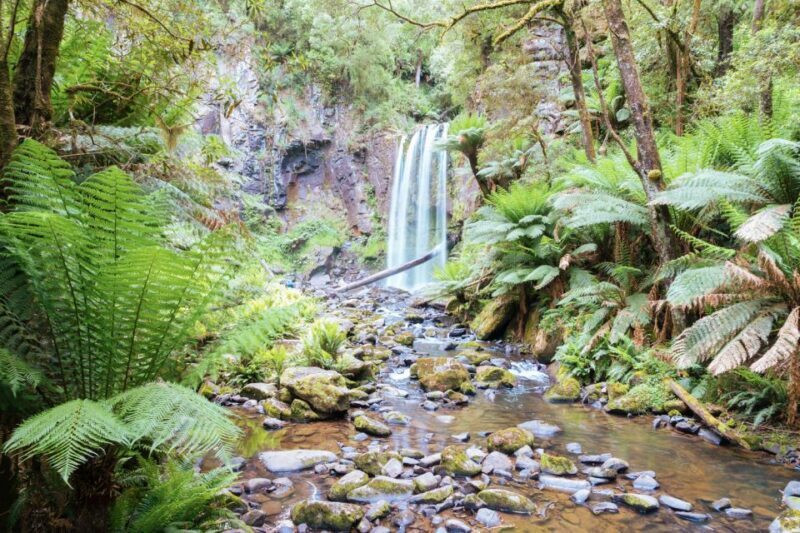 Melbourne: 12 Apostles, Otways & Great Ocean Road Day Tour - The Sum Up
