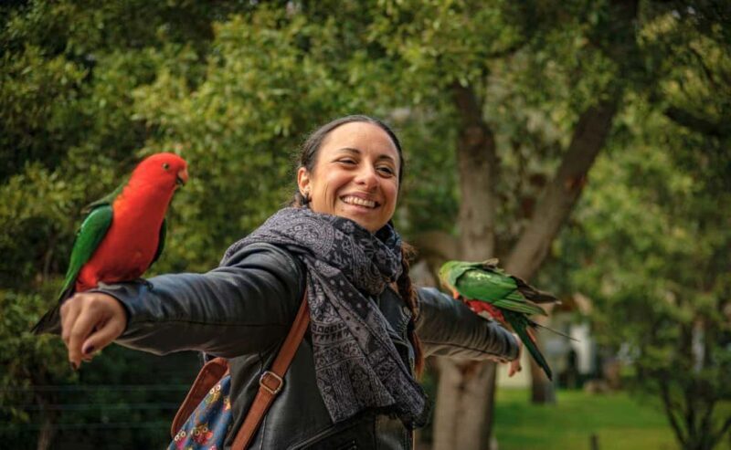Melbourne: 12 Apostles Sunset Tour - Less Crowds - The Itinerary: What You’ll See and Experience