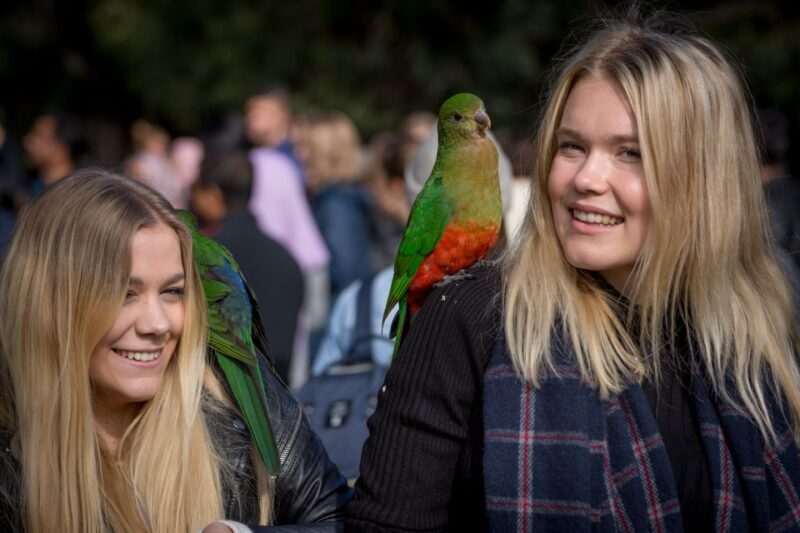 Melbourne: 2-Day Great Ocean Road & Grampians Tour - Practical Details and Tips