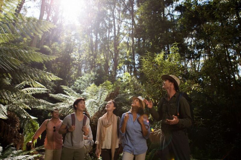 Melbourne: 2-Day Great Ocean Road & Grampians Tour - Who Will Love This Experience?
