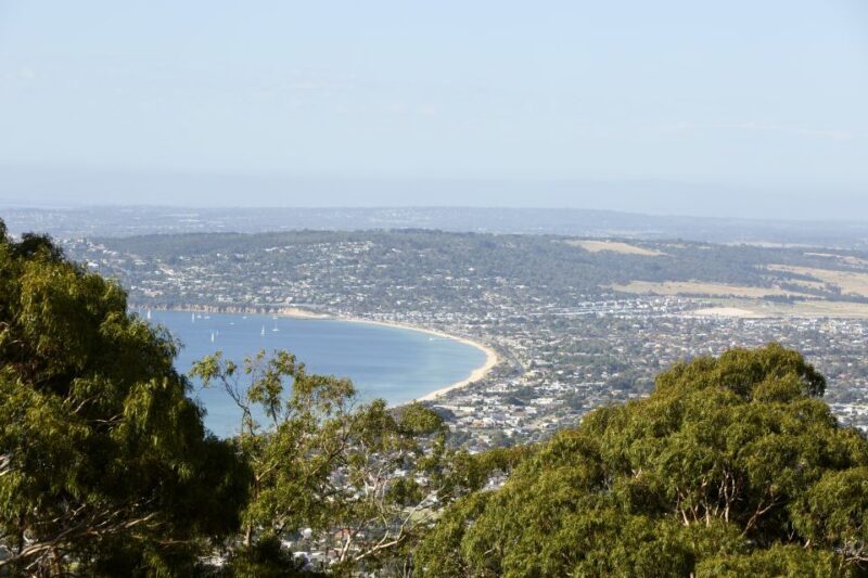 Melbourne: Around the Bay Food & Wine Taste Trail - The Itinerary: A Well-Structured Day of Tasting and Sightseeing