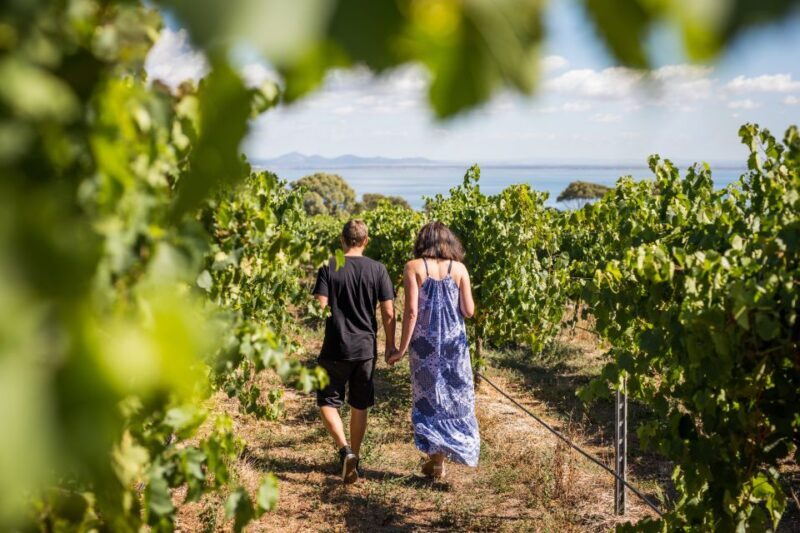 Melbourne: Around the Bay Food & Wine Taste Trail - Practical Tips for a Smooth Day