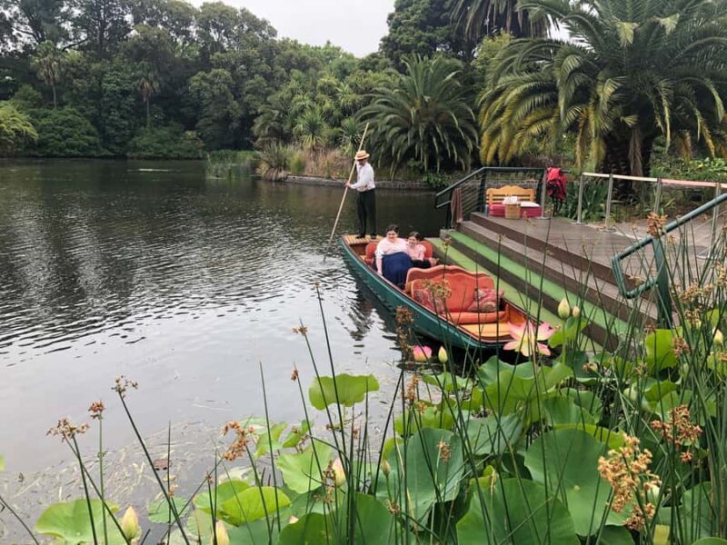 Melbourne: Botanic Gardens & Sports Precinct Walking Tour - What You Can Expect from the Tour