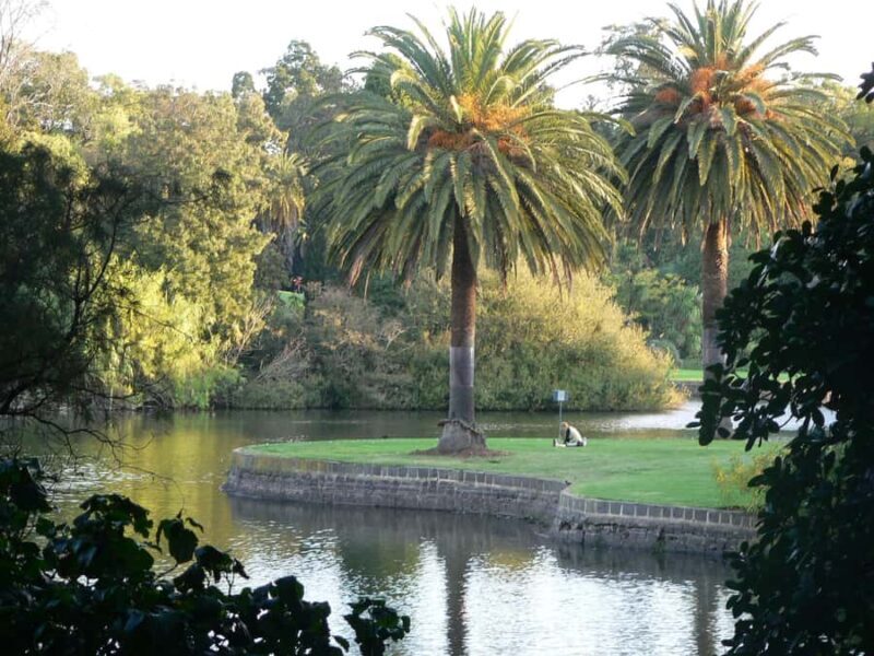 Melbourne: Botanic Gardens & Sports Precinct Walking Tour - Authentic Insights from Previous Travelers