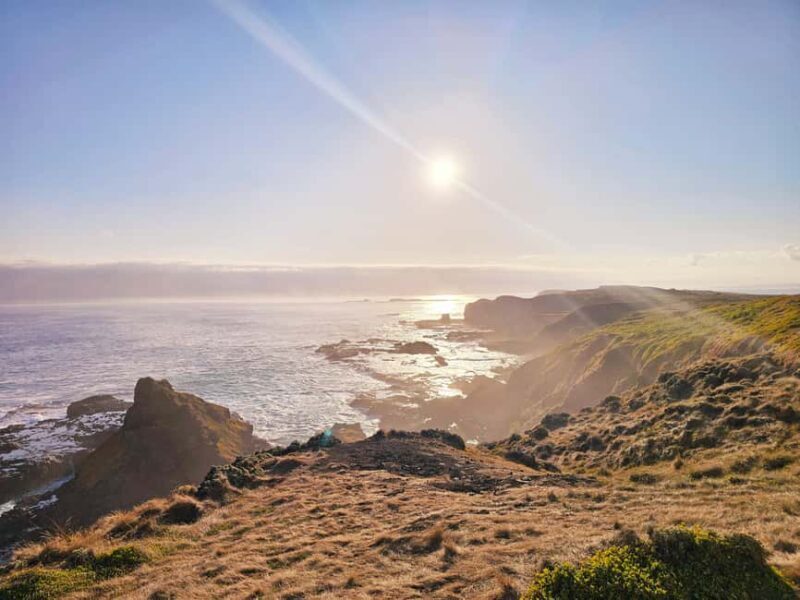 Melbourne: Boutique Phillip Island Wine, Dine & Penguin Tour - Sunset at The Nobbies and Sparkling Wine Toast