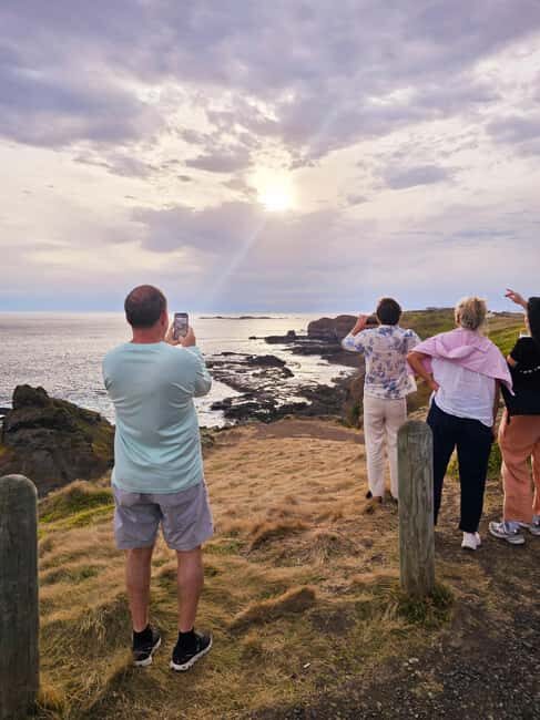 Melbourne: Boutique Phillip Island Wine, Dine & Penguin Tour - Is This Tour Worth It?