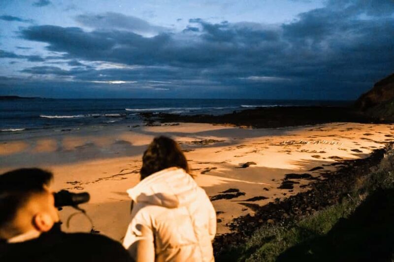 Melbourne: Bunurong Coast & Penguin Parade Day Trip - Key Points