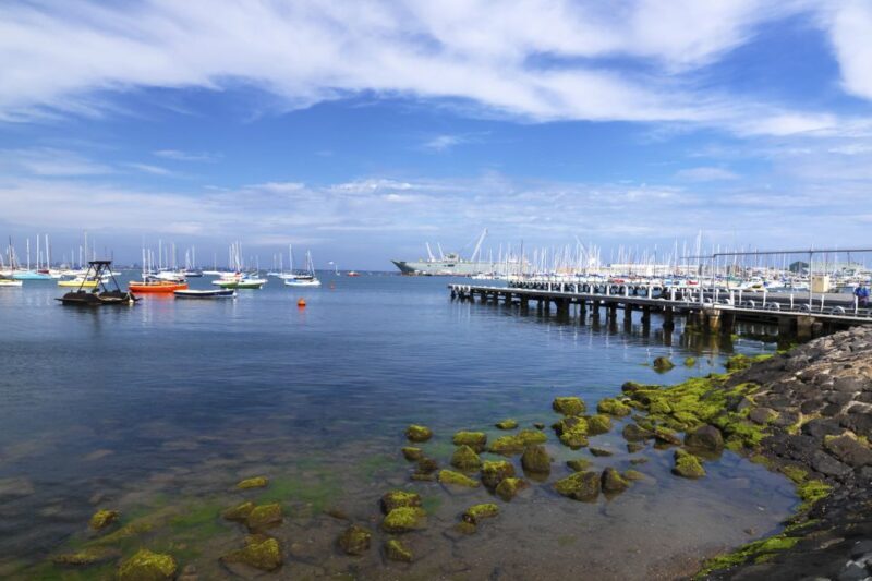 Melbourne: City and Williamstown Ferry Cruise - The Sum Up