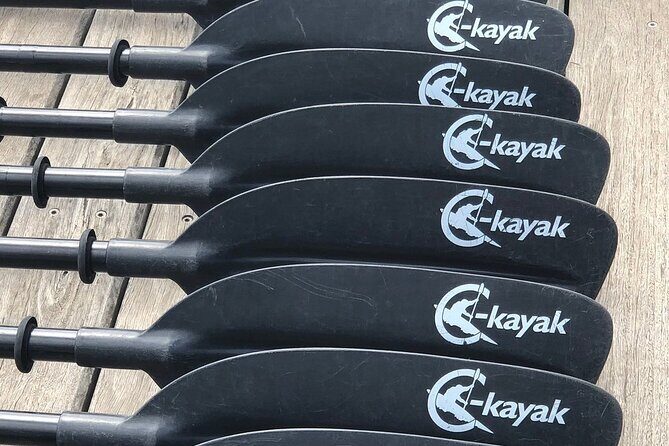 Melbourne City Sights Kayak Tour - The Sum Up: Why This Kayak Tour Works