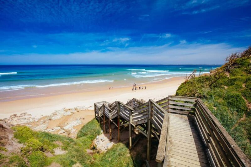 Melbourne: Coastal View & Phillip Isand Penguin Parade Tour - The Value of the Tour  
