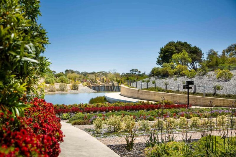 Melbourne: Cranbourne Gardens Electric Explorer Tour - Why You’ll Love the Cranbourne Gardens Electric Explorer Tour