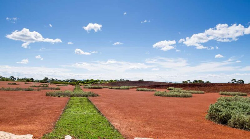 Melbourne: Cranbourne Gardens Electric Explorer Tour - Who Will Enjoy This Tour?
