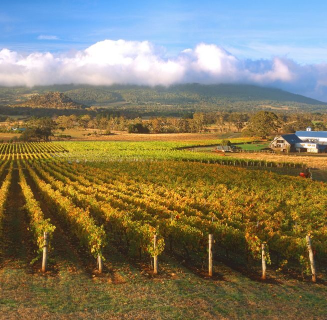 Melbourne: Full-Day Horses, Wine, and Beer Tour - Key Points