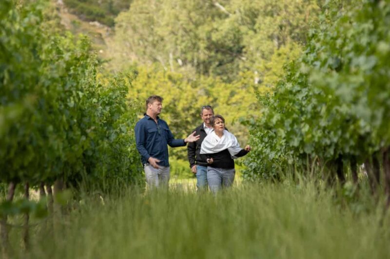 Melbourne: Full-Day Winemaker-Led Wine Tasting Tour - Insights from Guest Feedback  