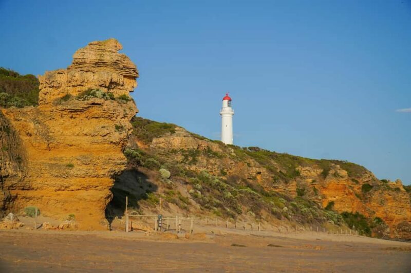 Melbourne: Great Ocean Road Adventure with Iconic Stops - The Experience: A Deep Dive into the Tour