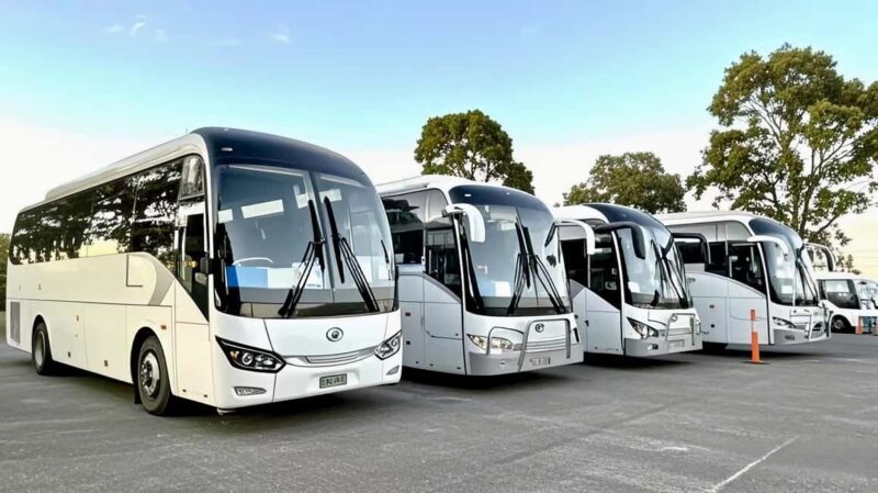 Melbourne Great Ocean Road Benz SmallGroup&LuxCoach BigGroup - Who Will Love This Tour?