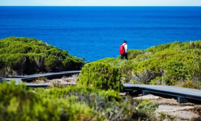 Melbourne: Great Ocean Road Day Tour - The Guide Experience