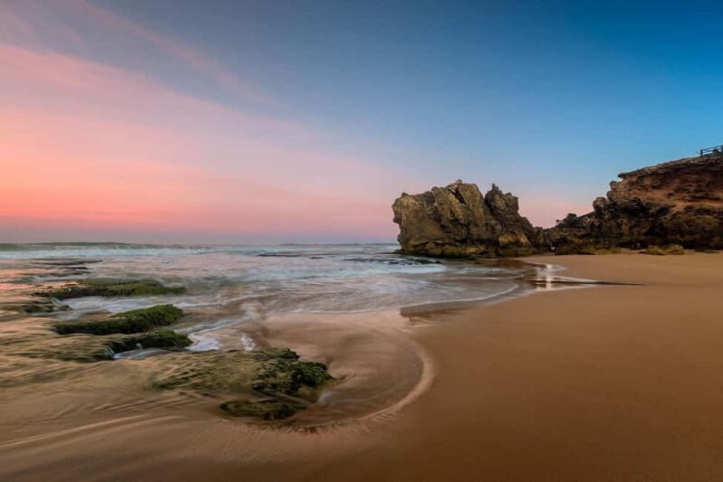 Melbourne: Great Ocean Road Day Tour with kangaroos & koalas - Key Points