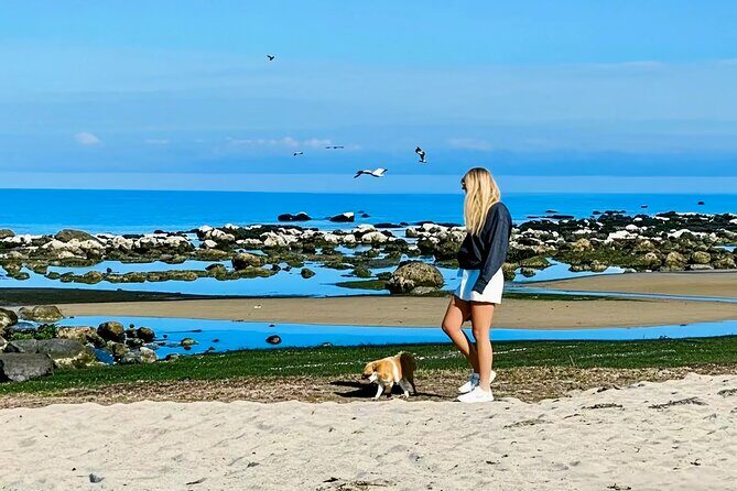 Melbourne: Great Ocean Road Luxury Coach Reverse Tour - Authentic Insights from Reviews