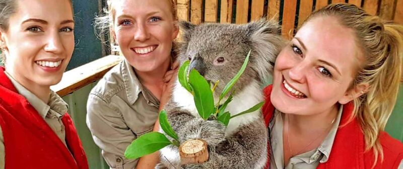 Melbourne Highlights & Aussie Wildlife Express Tour - FAQ