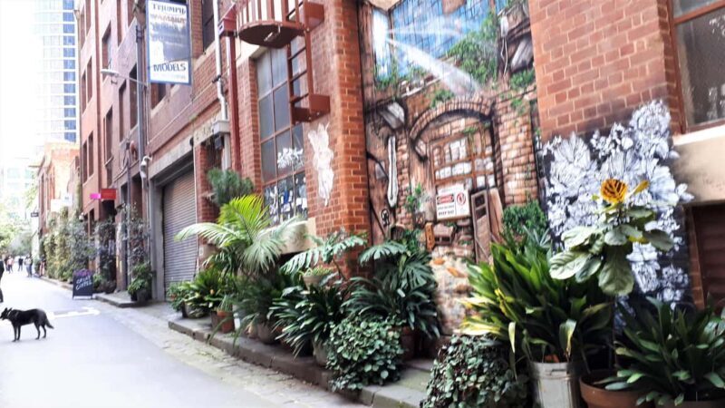 Melbourne Laneways Tour - What to Expect & Practical Details