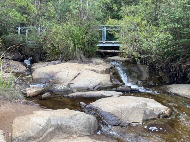 Melbourne: Marysville Day Trip with Healesville Sanctuary - Key Points