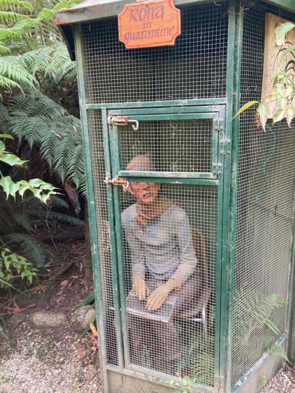 Melbourne: Marysville Day Trip with Healesville Sanctuary - FAQ