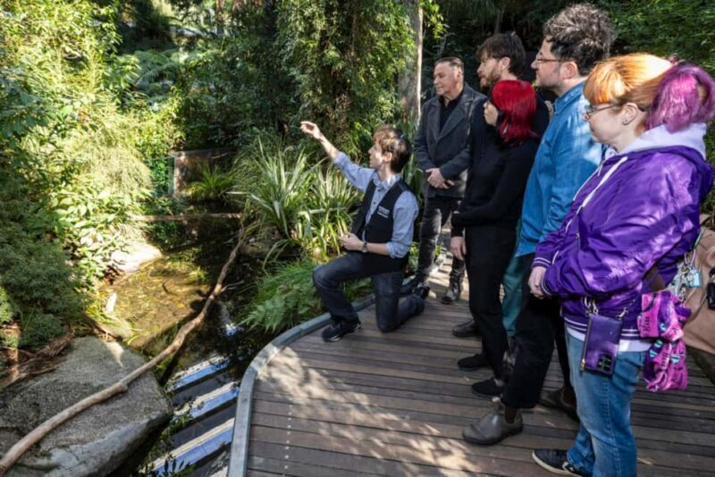Melbourne: Melbourne Museum Guided Tour with Entry Ticket - Why This Tour Offers Good Value