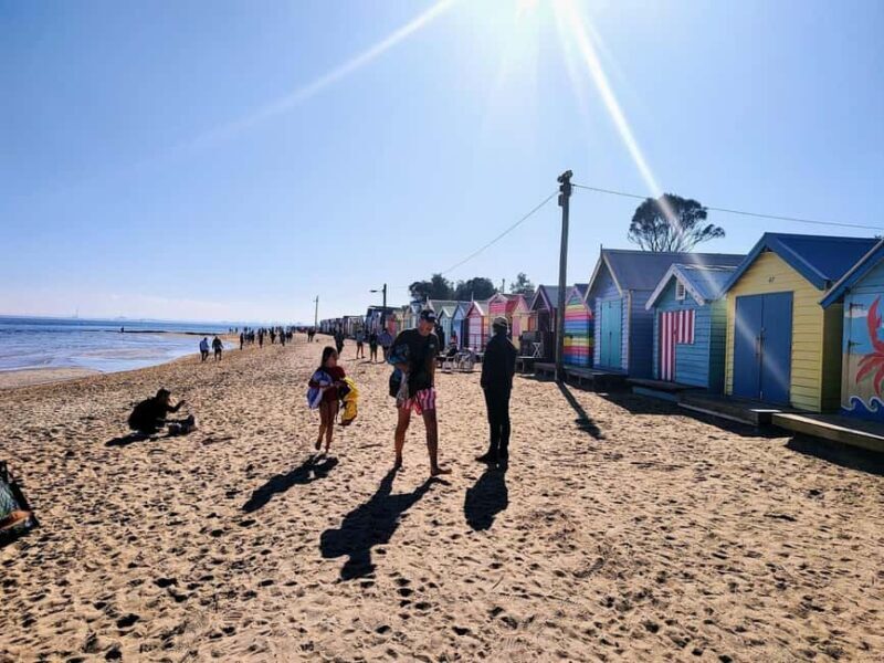 Melbourne: Moonlit Sanctuary and Brighton Beach Boxes Tour - A Detailed Look at the Tour Experience