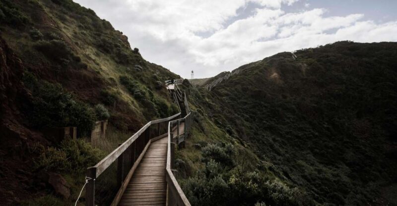 Melbourne: Mornington Peninsula & Hot Springs Tour 8 pax max - Key Points