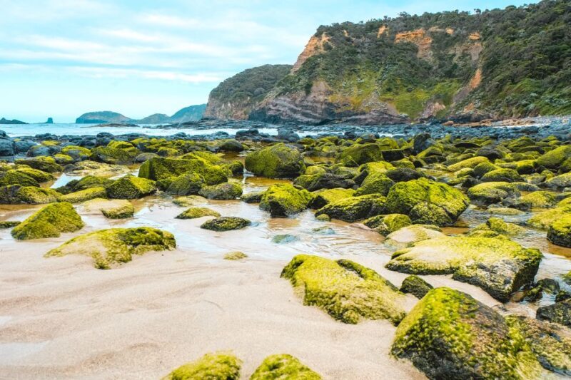 Melbourne: Mornington Peninsula & Hot Springs Tour 8 pax max - Final Thoughts