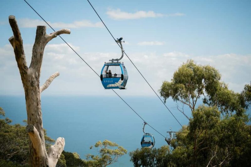 Melbourne: Mornington Peninsula Southern Coast Discovery - Why You Should Consider This Tour