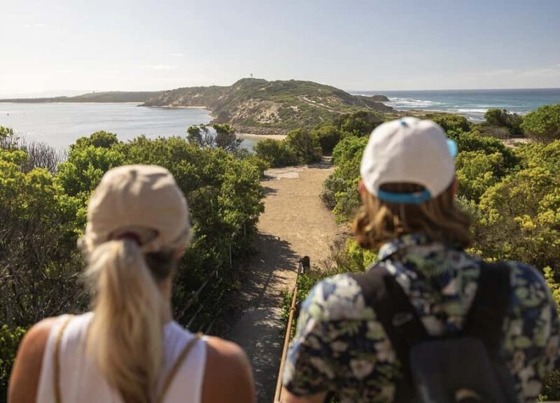 Melbourne: Mornington Peninsula Wine Tour with Lunch - Challenges and Considerations