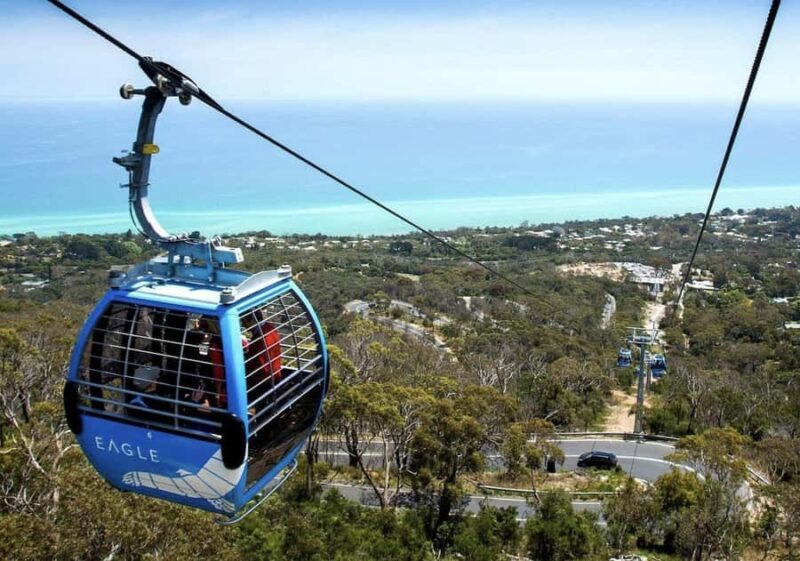 Melbourne: Mornington Peninsula Wine Tour with Lunch - Who Should Consider This Tour?