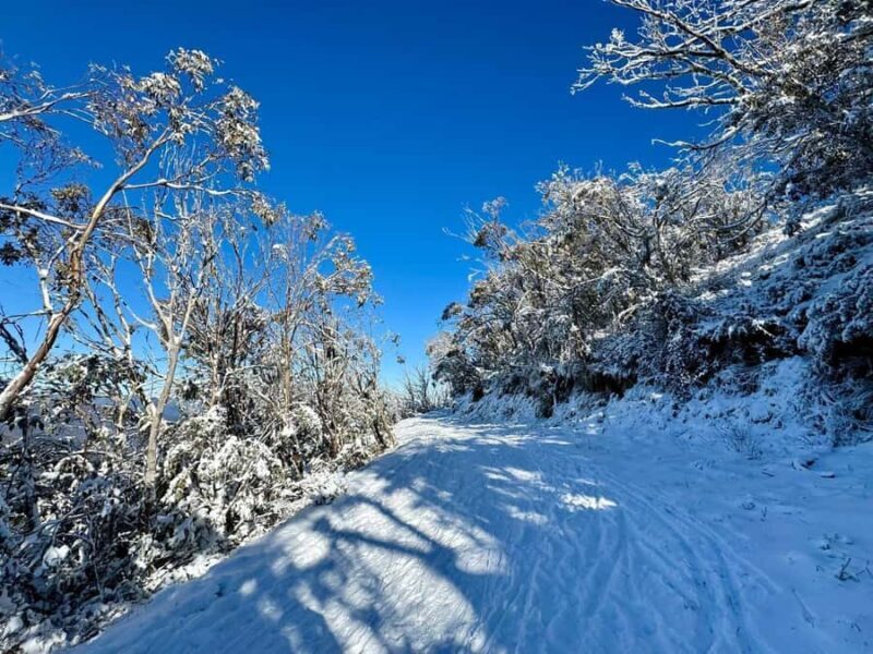 Melbourne: Mount Baw Baw Private Snow Tour with Guide - Introduction