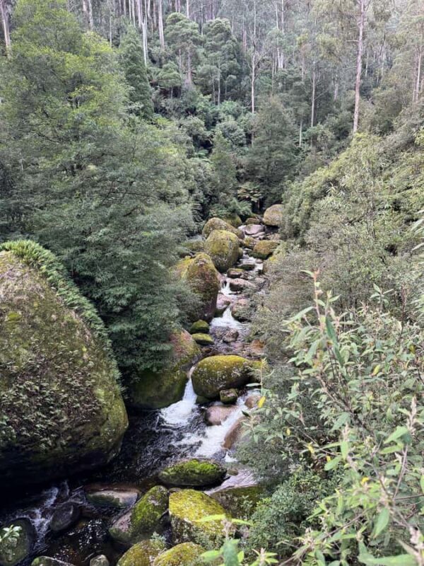 Melbourne: Mount Baw Baw Private Snow Tour with Guide - Why the Experience Offers Good Value