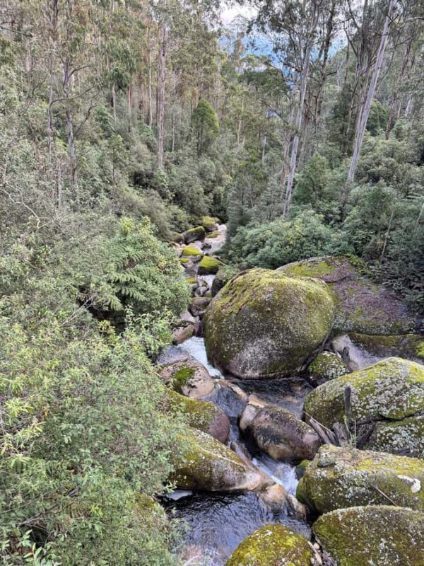 Melbourne: Mount Baw Baw Private Snow Tour with Guide - FAQs